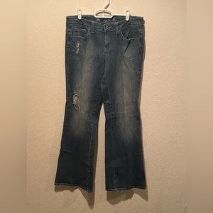Arizona Jean Co. Jeans